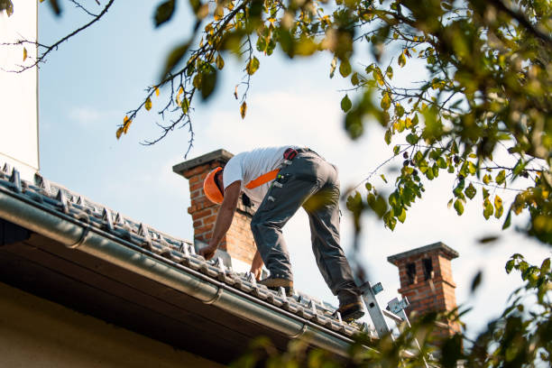 Best Roof Gutter Cleaning  in Tidmore Bend, AL