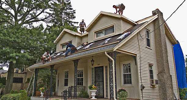 Quick and Trustworthy Emergency Roof Repair Services in Tidmore Bend, AL