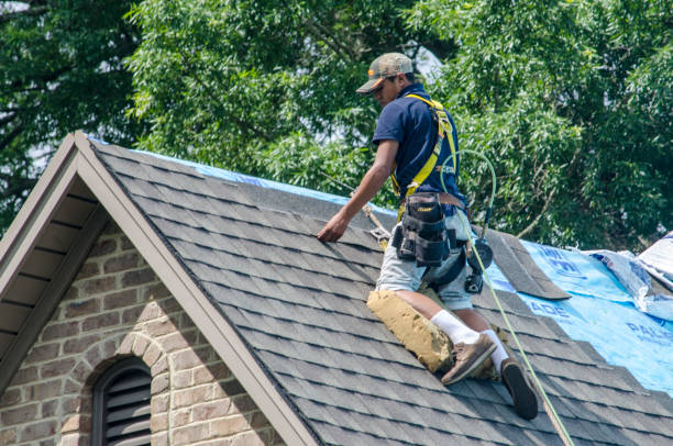 Residential Roof Replacement in Tidmore Bend, AL